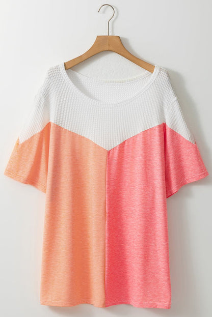 Plus size color block round neck short sleeve T-shirt hanging on hanger.